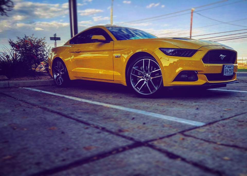 2015 mustang Gt premium triple yellow s559