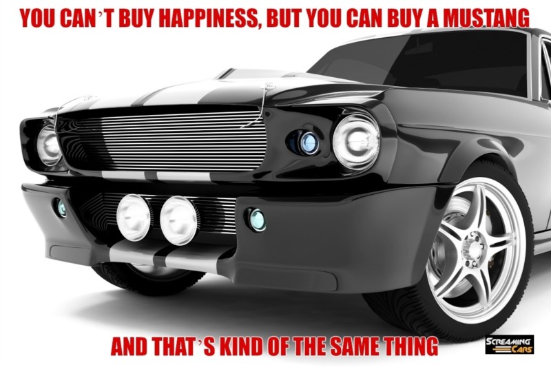 Buy a Mustang