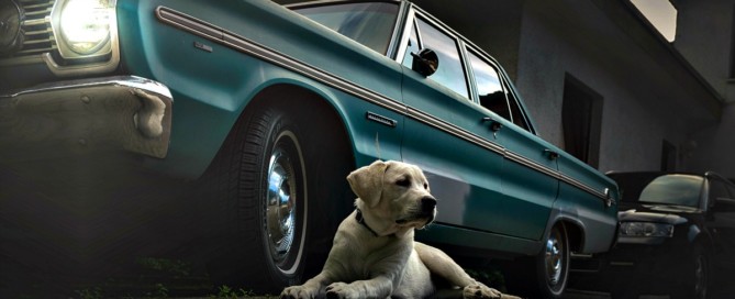 car and dog, man's best friends